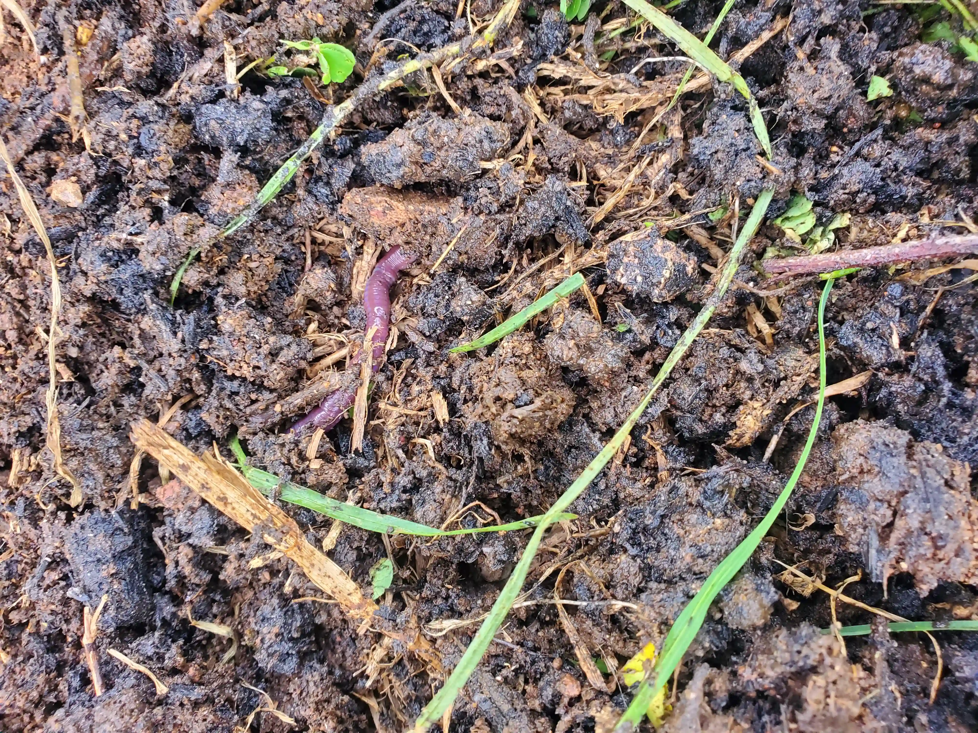 Formation agroécologique avec les communautés rurales